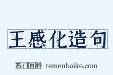 王感化造句是什么意思的图片